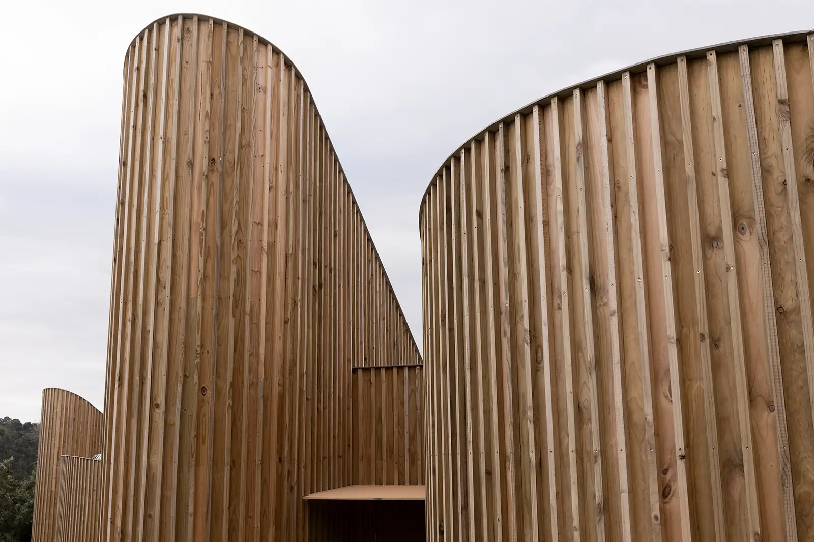 Two curved timber-clad volumes