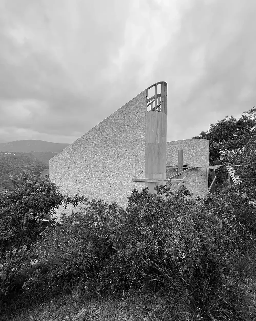 Cabin under construction: a sloping wall rising from the bush