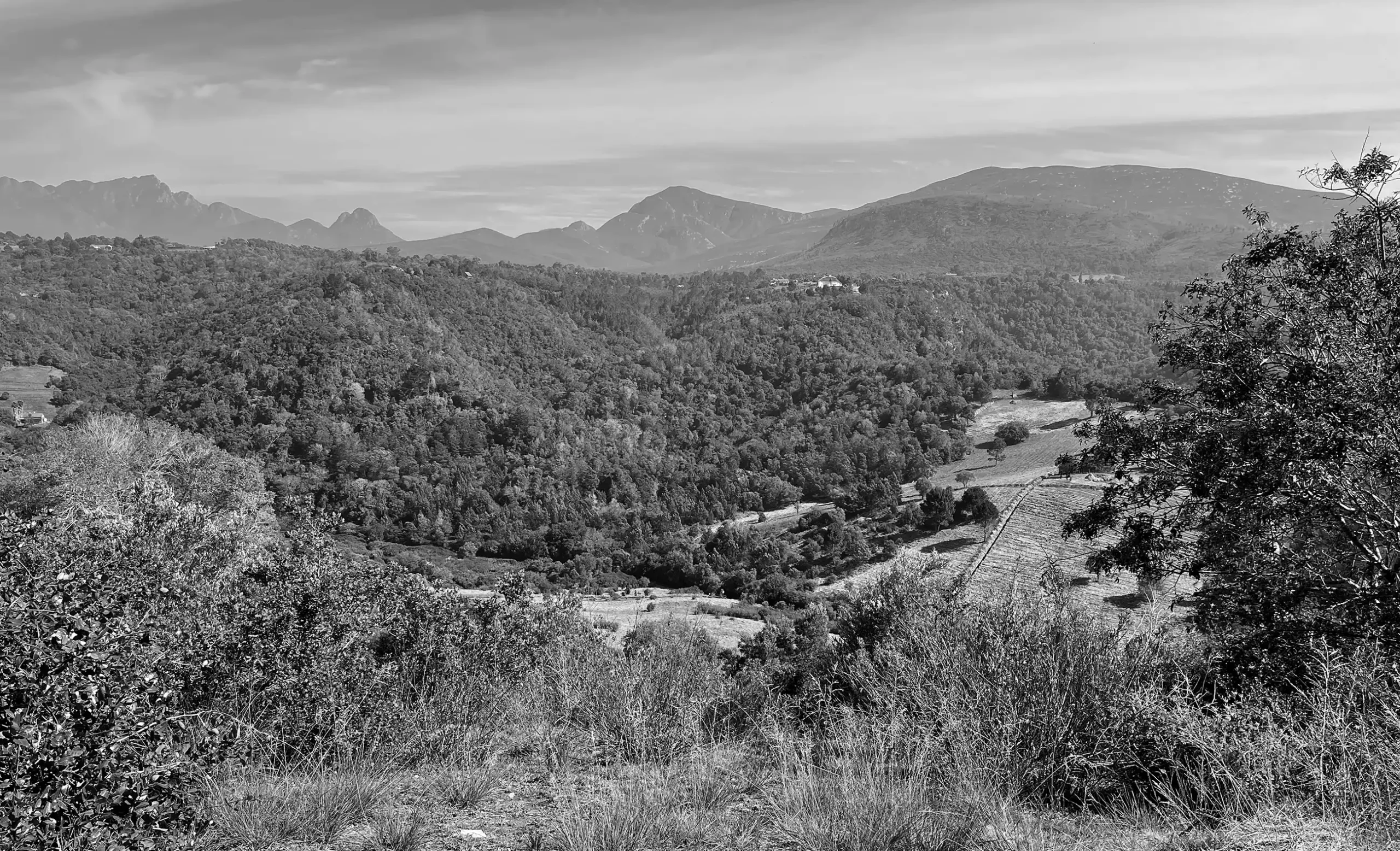 Black-and-white view of the forested valley and mountains at the site