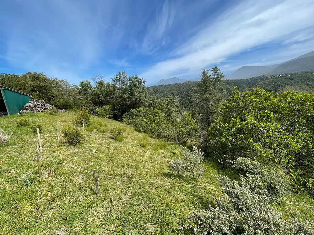 The grassy hillside site before construction