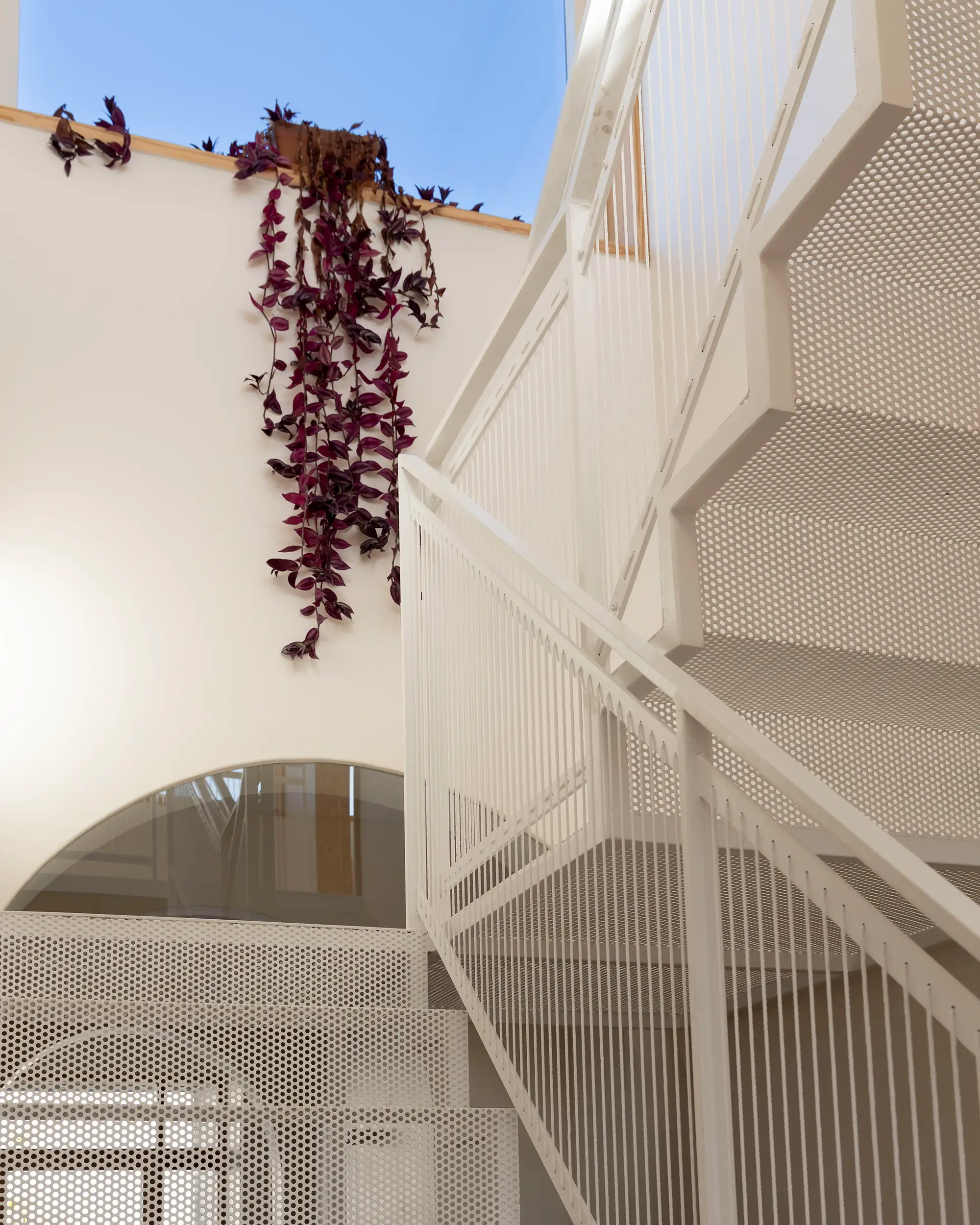 Light well with a white steel stair and a hanging plant